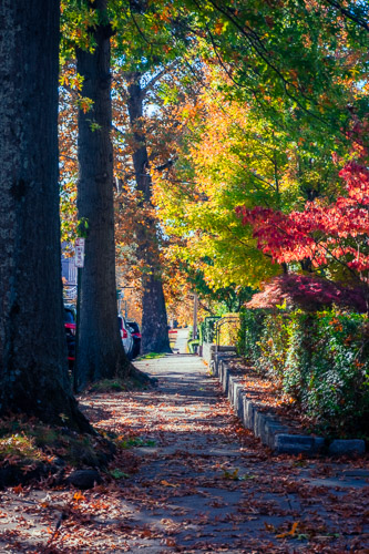 Sleepy Hollow, NY - Oct 2023